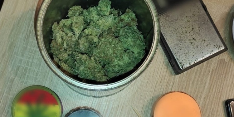 VIDEO Zorile au adus mascații la ușa unor lugojeni și timișoreni! Zeci de percheziții au fost organizate în vestul țării și două grupări infracționale destructurate