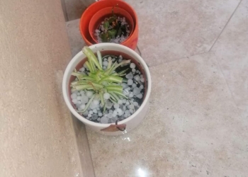 A plouat cu bucăți de gheață în mai multe localități din Timiș