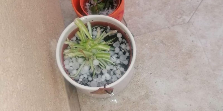 A plouat cu bucăți de gheață în mai multe localități din Timiș