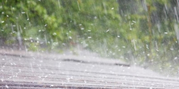 Bilanțul Codului Portocaliu din Timiș: copaci căzuți și întreruperi de curent electric