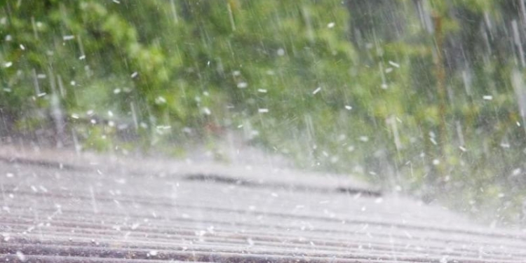 Bilanțul Codului Portocaliu din Timiș: copaci căzuți și întreruperi de curent electric