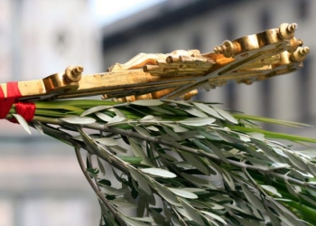 Azi sunt Floriile. Ce trebuie să faci cu salciile luate de la Biserică