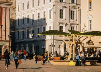 Primăria Timișoara „inventează” posturi noi în administrația publică! Se angajează manageri de cartier