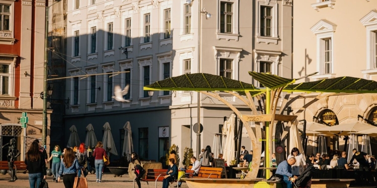 Primăria Timișoara „inventează” posturi noi în administrația publică! Se angajează manageri de cartier