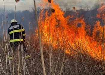 Un incendiu de vegetație uscată a izbucnit în aproprierea localității Aurel Vlaicu