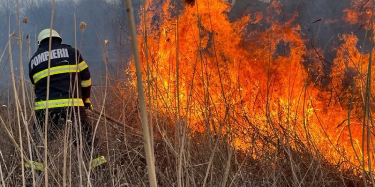 Un incendiu de vegetație uscată a izbucnit în aproprierea localității Aurel Vlaicu