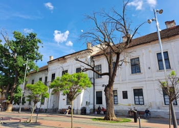 Margareta, Custodele Coroanei, va veni la Timișoara pentru a planta un nou stejar în Piața Libertății