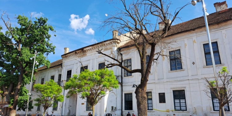 Margareta, Custodele Coroanei, va veni la Timișoara pentru a planta un nou stejar în Piața Libertății