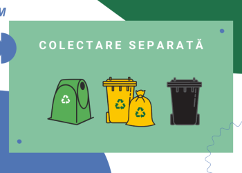 Separă corect deșeurile cât ai bate din palme!