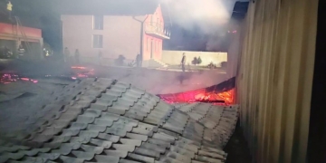 Mii de zburătoare au avut un final tragic! Au ars într-un incendiu, în vestul țării