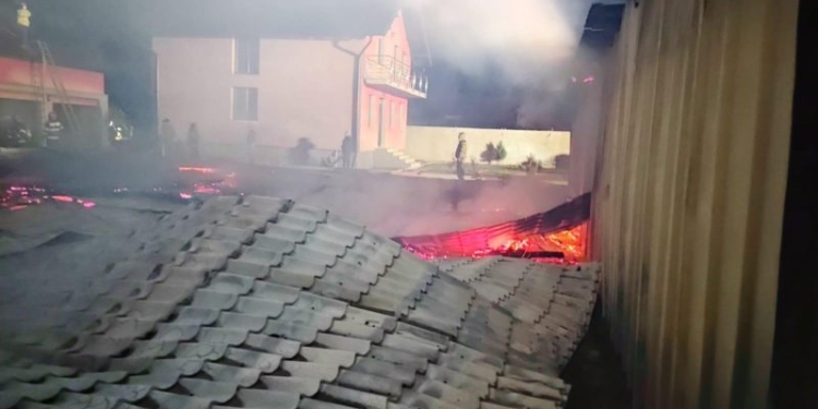 Mii de zburătoare au avut un final tragic! Au ars într-un incendiu, în vestul țării