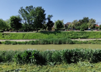 Timișoara mai are nevoie și de …iarbă! Rudolf Graf, consilierul primarului Fritz: „distrugem habitatul și dăunăm biodiversității!”