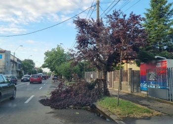 Intervenții pe 170 de străzi din Timișoara, după furtuna puternică