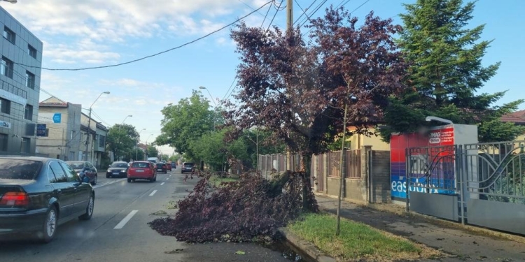 Intervenții pe 170 de străzi din Timișoara, după furtuna puternică