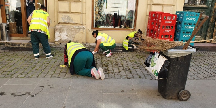 „Erbicid” marca Timișoara! Imagini care au revoltat orașul despre cum se face curățenia stradală