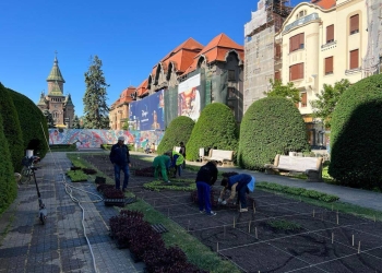 Pierderi de un milion de lei la Horticultura. Neregulile descoperite după plecarea fostului șef