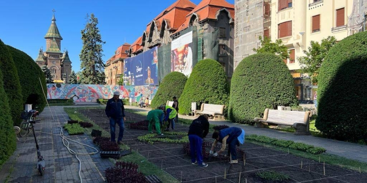 Pierderi de un milion de lei la Horticultura. Neregulile descoperite după plecarea fostului șef