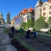 Pierderi de un milion de lei la Horticultura. Neregulile descoperite după plecarea fostului șef