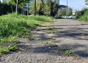 Ultimatum dat primarului Timișoarei. Prefectul județului, Mihai Ritivoiu îi dă termen, o lună, să curățe parcurile