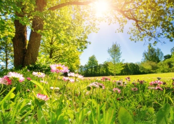 Vreme tot mai frumoasă în vestul țării. Anunțul meteorologilor