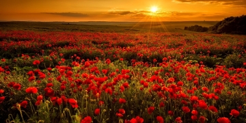 Vreme oscilantă în următoarele două săptămâni, în Banat