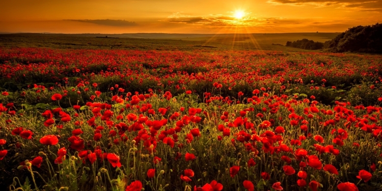 Vreme oscilantă în următoarele două săptămâni, în Banat