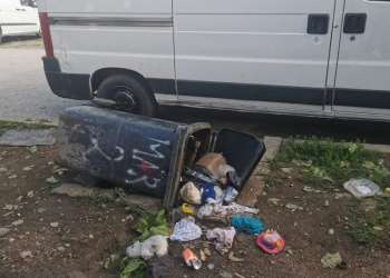 Zona Gării de Nord verificată de jandarmi și polițiști