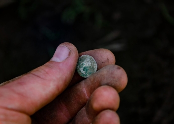 Sute de monede de secol XVI descoperite în Timiș