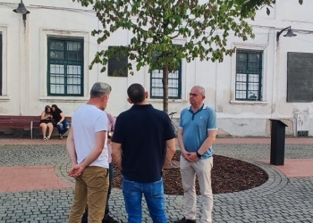 „O, stejar frumos!” Se prăpădește stejarul de 3 mii de euro plantat în Piața Libertății din Timișoara