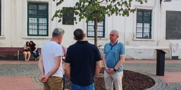 „O, stejar frumos!” Se prăpădește stejarul de 3 mii de euro plantat în Piața Libertății din Timișoara