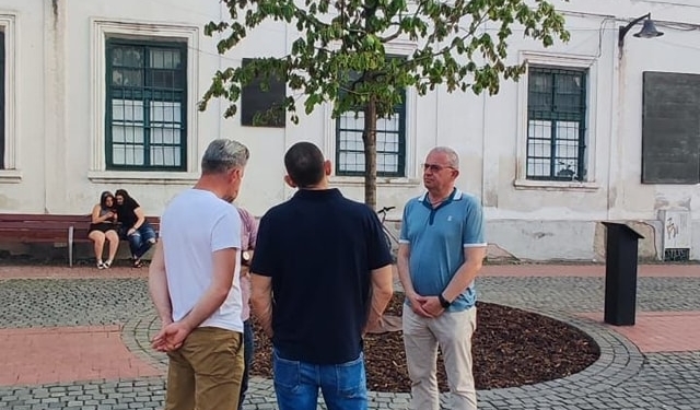 „O, stejar frumos!” Se prăpădește stejarul de 3 mii de euro plantat în Piața Libertății din Timișoara