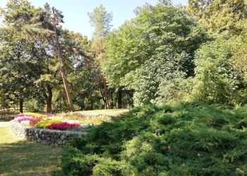 Se face lumină în Parcul Botanic! Mai un pas până la începerea lucrărilor