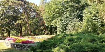 Se face lumină în Parcul Botanic! Mai un pas până la începerea lucrărilor