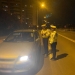 Polițiștii de la Rutieră, cu ochii pe petrecăreți. Participanții Vest Fest, vizați