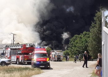 VIDEO Incendiu puternic la marginea Timișoarei! Risc major pentru mediu. A fost transmis avertisment prin RO-Alert!