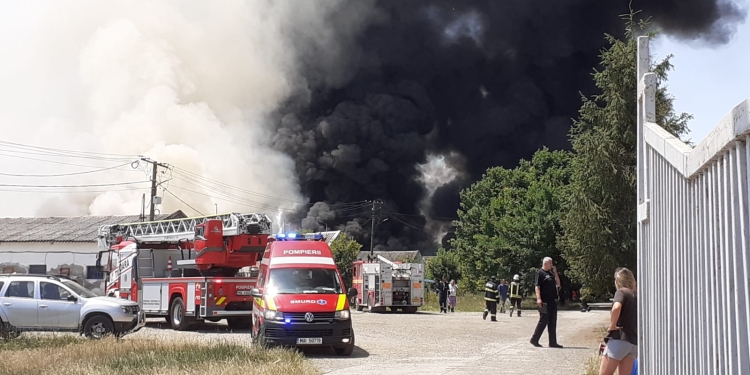 VIDEO Incendiu puternic la marginea Timișoarei! Risc major pentru mediu. A fost transmis avertisment prin RO-Alert!