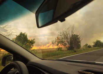 Incendiu puternic de vegetație între Cărpiniș și Beregsău Mare. Polițiștii dirijează circulația pe DN 59A