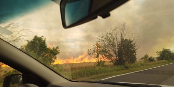 Incendiu puternic de vegetație între Cărpiniș și Beregsău Mare. Polițiștii dirijează circulația pe DN 59A