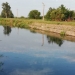 Râurile din Banat, mai curate. A fost strânsă o cantitate uriașă de gunoaie
