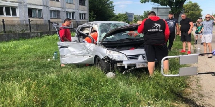 Pisica l-a băgat în stâlp. Accident în Lugoj