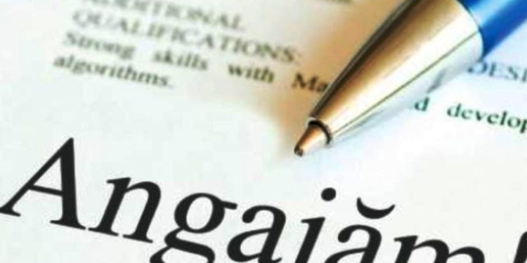 Se caută operatori, șoferi, agenți de securitate. AJOFM Timiș pune la dispoziție peste 1000 de locuri de muncă, vezi lista completă