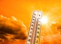 Canicula va lovi zona de vest a țării: termometrele vor arăta și 34 de grade Celsius