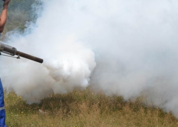 Atac din aer și de la sol! Începe dezinsecția la Sânmihaiu Român