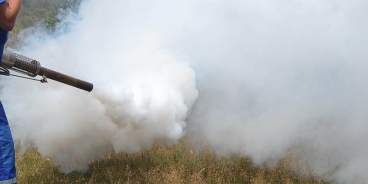 Atac din aer și de la sol! Începe dezinsecția la Sânmihaiu Român