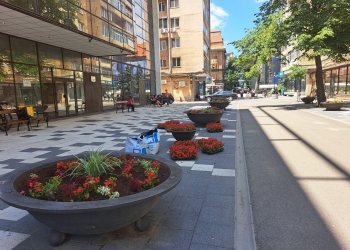 În sfârșit, au fost plantate flori în jardinierele din centrul Timișoarei