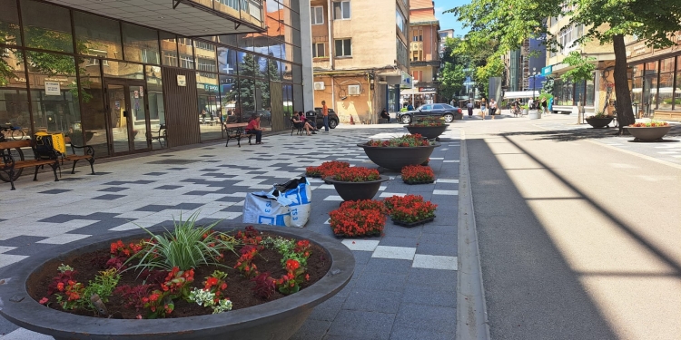 În sfârșit, au fost plantate flori în jardinierele din centrul Timișoarei