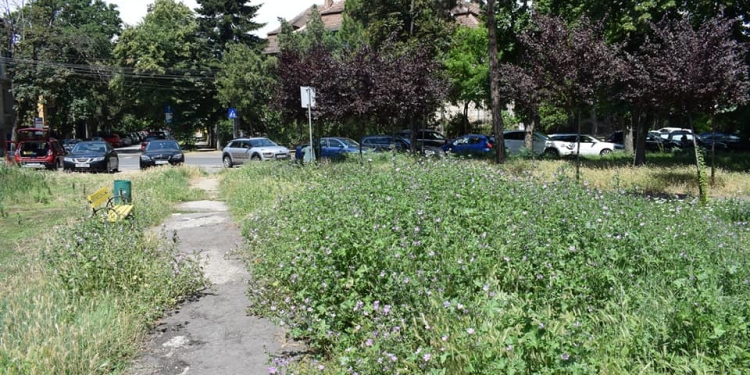 Ultimatumul dat de Prefectura Timiș a expirat! Se apropie cu pași repezi încă o amendă de la Mediu pentru Primăria Timișoara