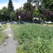 Ultimatumul dat de Prefectura Timiș a expirat! Se apropie cu pași repezi încă o amendă de la Mediu pentru Primăria Timișoara