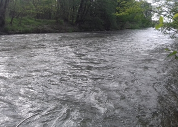 UPDATE VIDEO Trupurile celor doi soți au fost găsite! Medicii au făcut eforturi disperate să-i salveze, dar în zadar/Familie distrusă! Soț și soție din Timiș, înecați! Scanfandrii îi caută