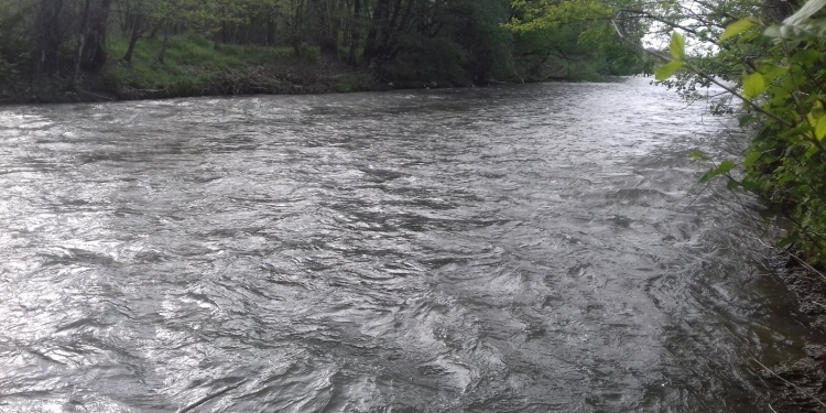 UPDATE VIDEO Trupurile celor doi soți au fost găsite! Medicii au făcut eforturi disperate să-i salveze, dar în zadar/Familie distrusă! Soț și soție din Timiș, înecați! Scanfandrii îi caută